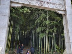 -旺山景区