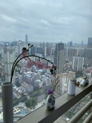 -久匠·纹眉半永久野生眉