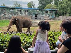 -西安秦岭野生动物园