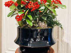 -双季花艺园艺市场(浦东店)