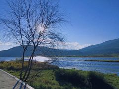-腾冲北海湿地