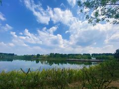 -东郊湿地公园