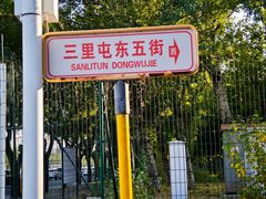 -三里屯东五街银杏大道