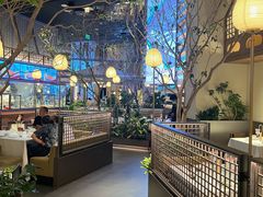 -桂满陇·海市蜃楼·黑金(国金店)