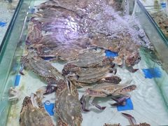 -石塘路海鲜市场(草厂中路店)
