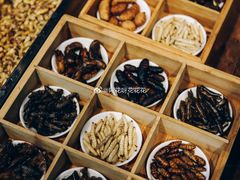 昆虫总动员-昆虫窝子·特色云南菜(拓东路总店)