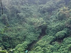 -海口火山口国家地质公园