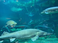 -华夏文旅海洋公园