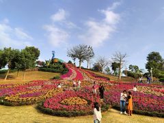 -东莞植物园