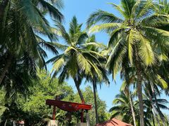 -三亚南山文化旅游区