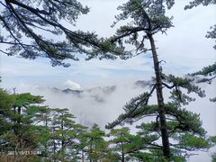 -明堂山风景区