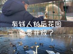 -银树楼(紫玉山庄东区店)