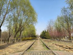 -永定河休闲森林公园