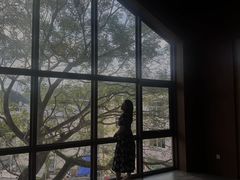-福建土楼（华安）旅游区•大地土楼群