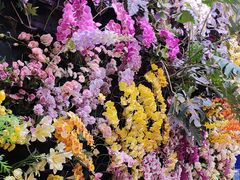 -正佳雨林生态植物园