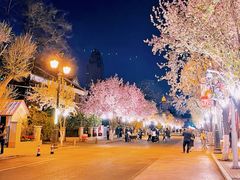 -天津五大道文化旅游区