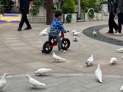 -中粮·祥云小镇