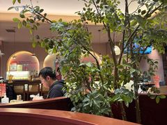 -墨纪Mojí墨西哥餐厅(官舍店)