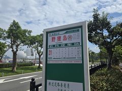 -野狸岛