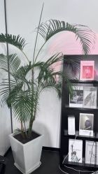 -张小野·专业半永久纹眉