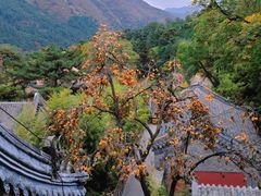 -潭柘寺景区