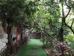 -呀路古热带植物园
