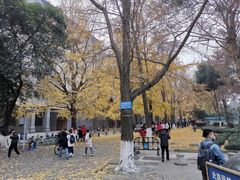 -四川大学(华西校区)