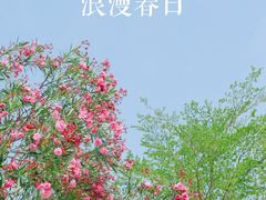 -厦门园林博览苑