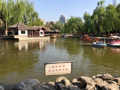 -团结湖公园