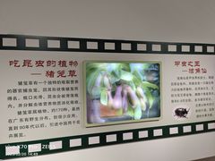 -上海昆虫博物馆