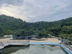-广东惠东海龟国家级自然保护区