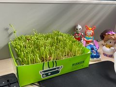 -海底捞火锅(泉城路店)