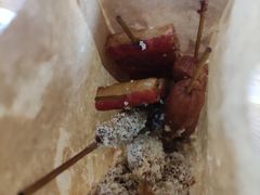 -熊仔屋(吉祥苑小区店)