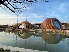 -广富林郊野公园