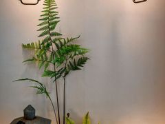 -广州市流溪河国家森林公园