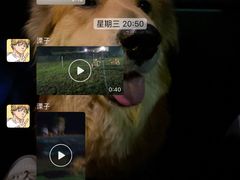 -趣玩宠物乐园寄养训犬训狗游泳池