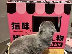 -烤匠麻辣烤鱼(观音桥大融城店)