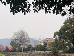 -羊楼洞