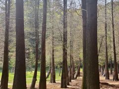 -广州市帽峰山景区