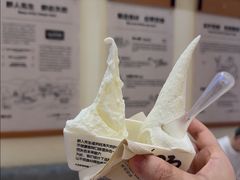 -野人先生现做冰淇淋(深圳壹方城店)