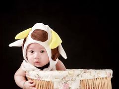 -桂鑫园烘焙·生日蛋糕·动物奶油(妙桥店)