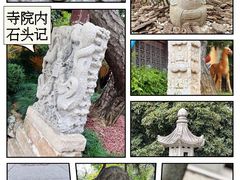 -龙华寺