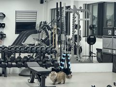 -上海智力产业园