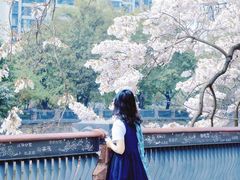 -红星桥(地铁站)