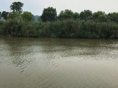 -长兴太湖图影湿地文化园