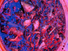 -胖子鱼·天水麻辣鱼火锅(秦州407店)