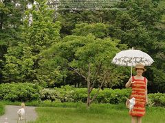 一只小可爱看上了我的饮料-国家植物园(南园)