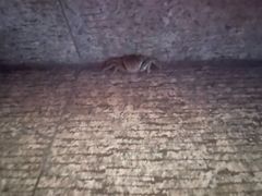 -狼山风景名胜区