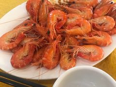-鸿达渔港