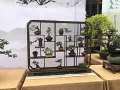 -鸡毛店·川菜(双楠店)